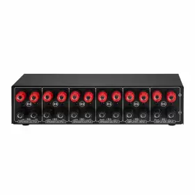 FKB2505996617123PY LYNEPAUAIO Amplifier Speaker Selector Box #3
