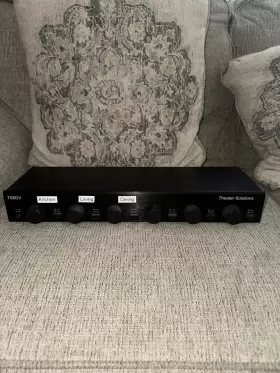 TS6DV THEATER SOLUTIONS Zone Dual Selector Volume Control