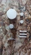 Kenwood KT-917/9177 Knobs and Buttons
