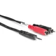 Hosa - CMR-206 - Stereo Mini Male to 2 RCA Male Y-Cable - 6 ft.