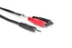 Hosa CMR206 6' 3.5mm TRS to Dual RCA Audio Y-Cable