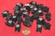 25 x  OEM Toshiba TOTX179L TX179L TOTX179 Fiber Head Optical Transmitter Toslink