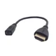 chenyang Micro HDMI to 4 Feet, Black Female Standard Male